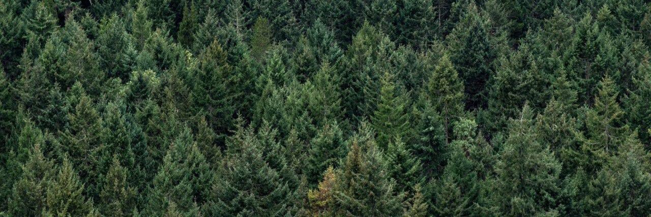 Meg🎀Beau banner