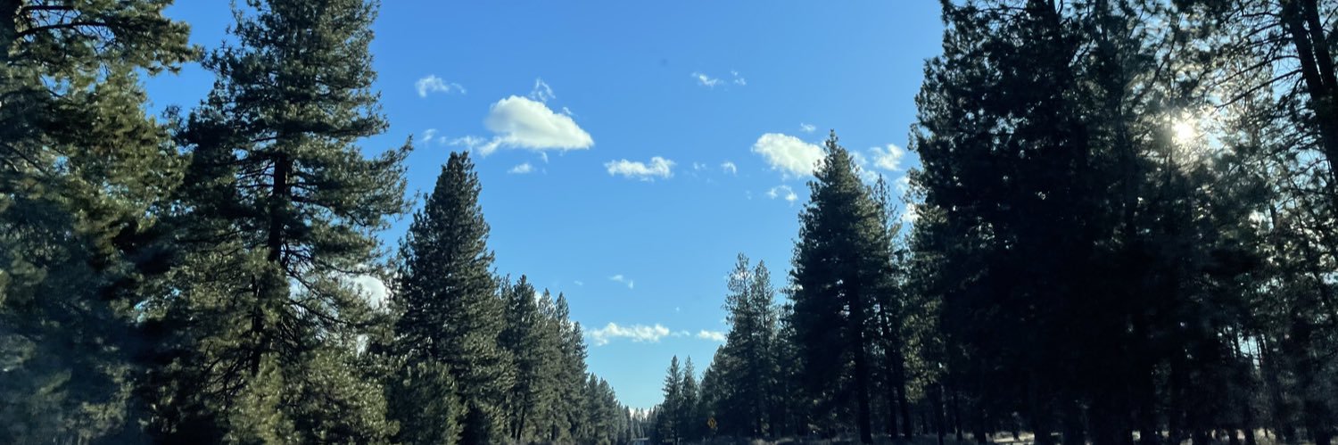 itspallison's profile banner image