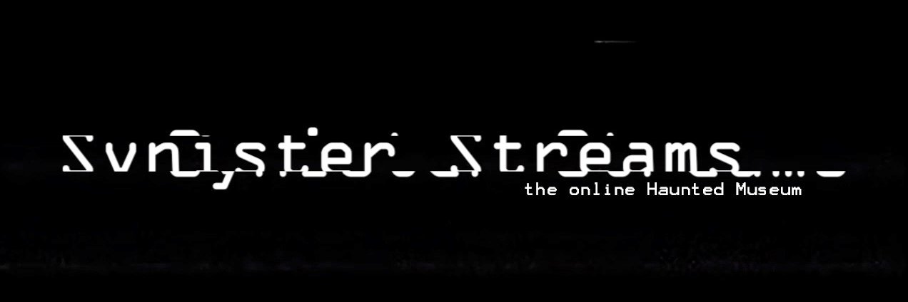 sarasynester's profile banner image
