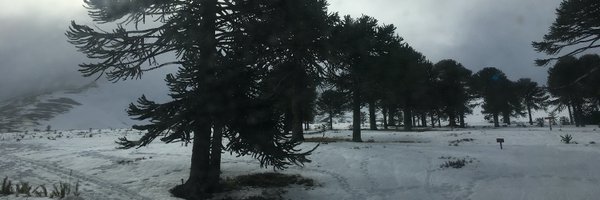 lothian225 Profile Banner