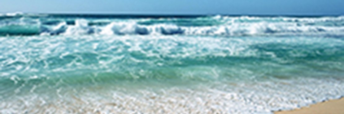Sandy Childs banner