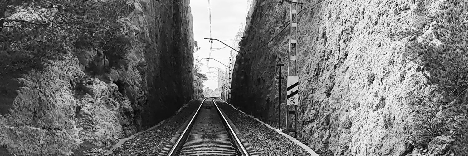 albert pascual banner