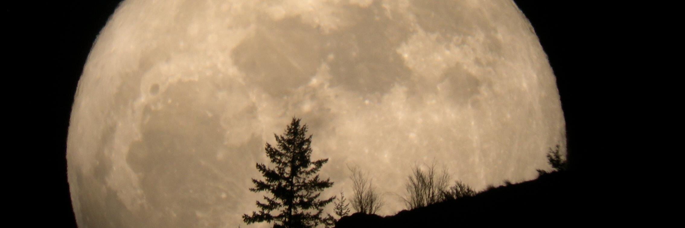 Lee Boehmer banner