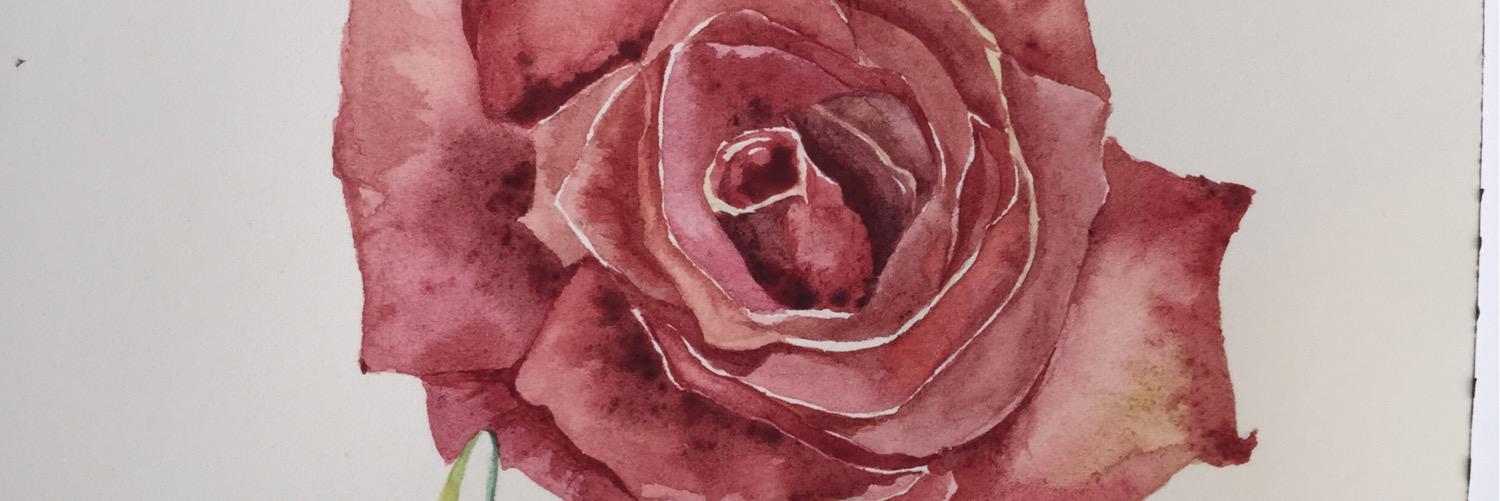 letterkind's profile banner image