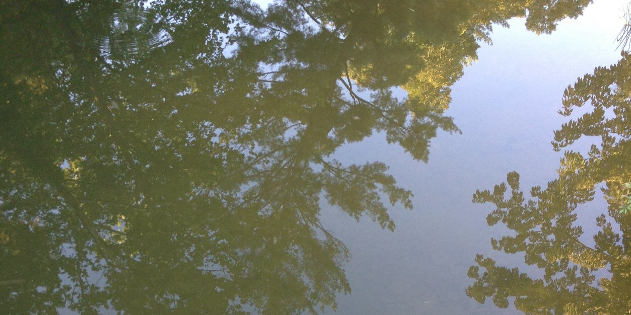 ryan_mccardle's profile banner image