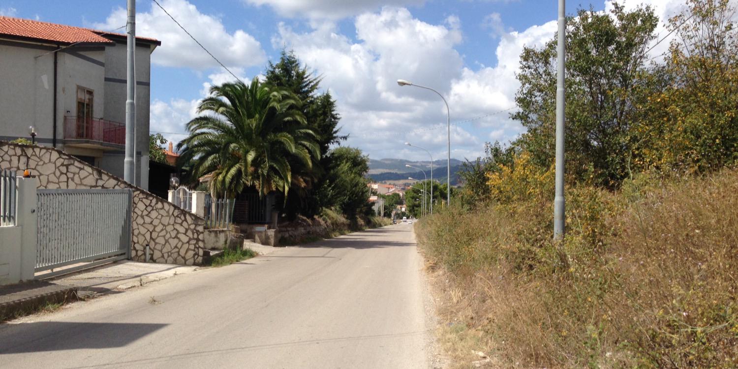 Ramona D'Aulisa banner