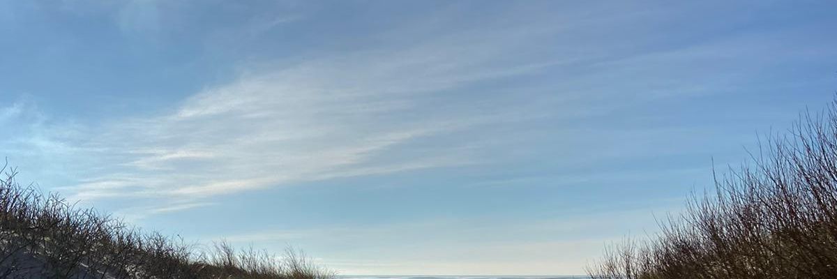 Veilist_'s profile banner image