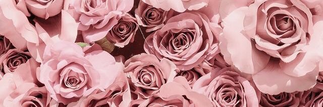 ~Ashliina13 banner