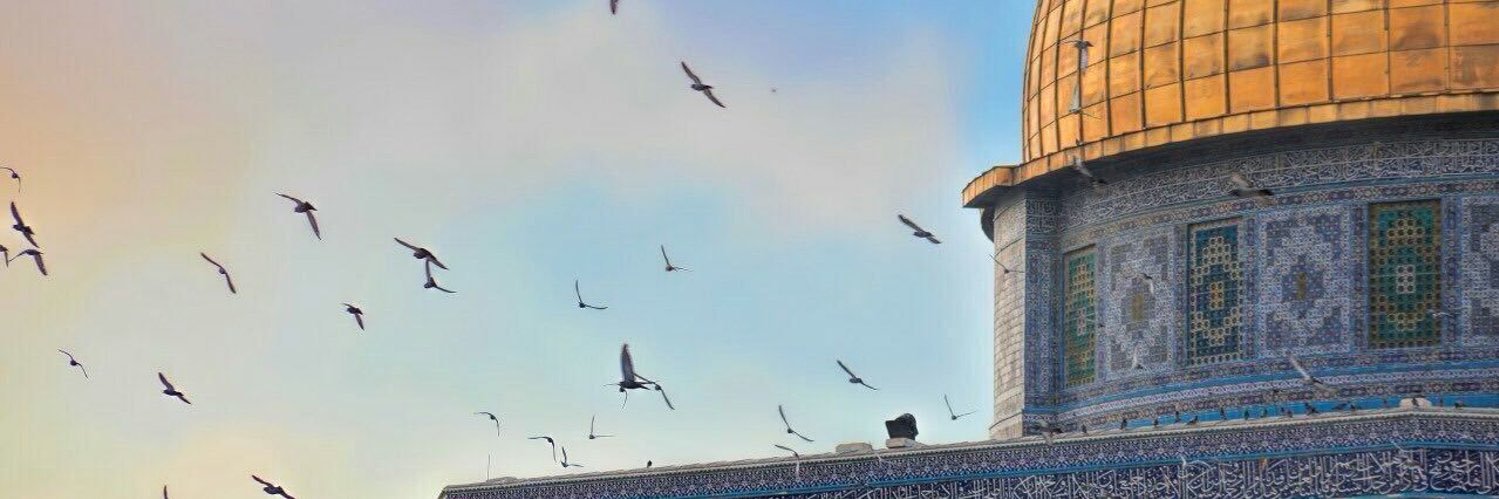conqueror_16's profile banner image