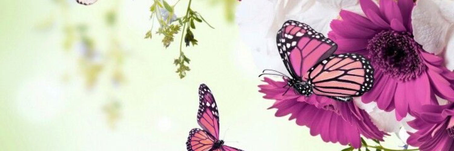 88angel's profile banner image