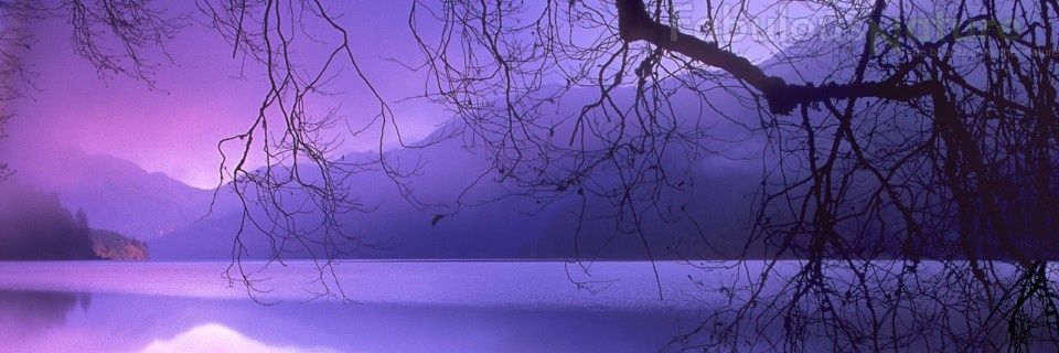 MadMikeTruth's profile banner image