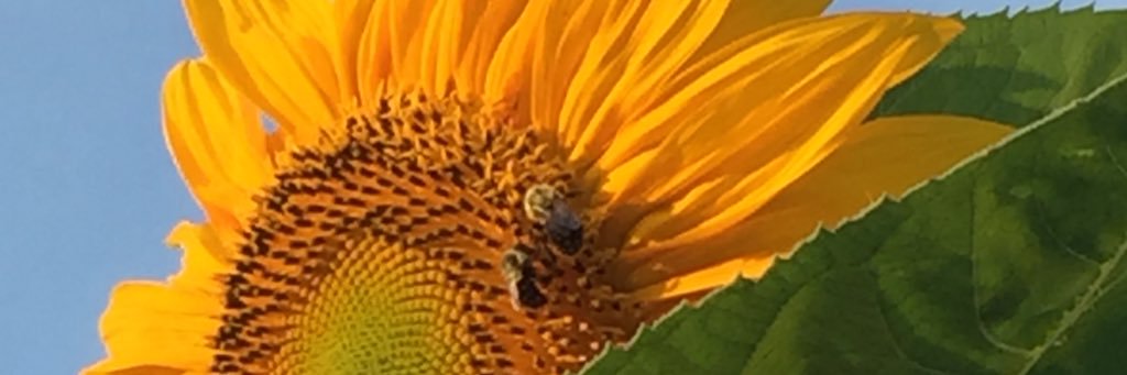bjgin1321's profile banner image