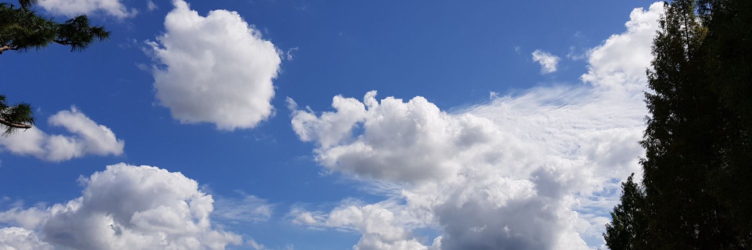 gpalwl's profile banner image