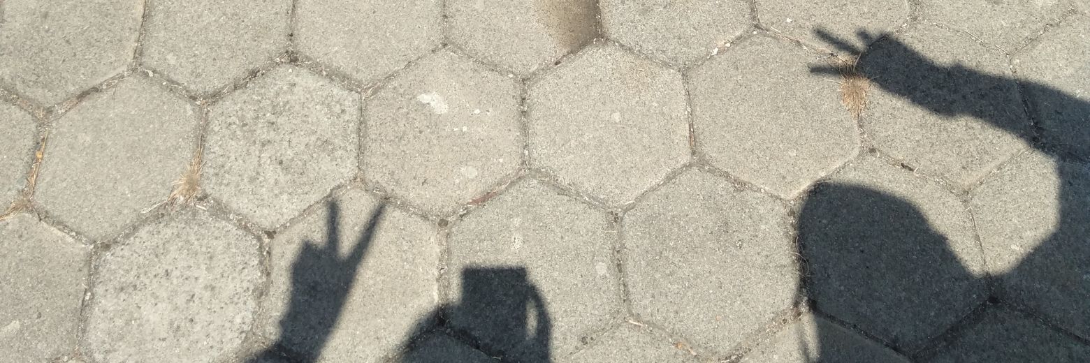 sofierna1's profile banner image