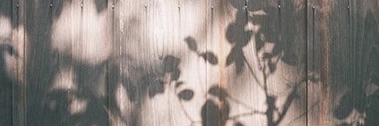 KY banner