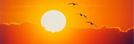 kulshreshtak's profile banner image