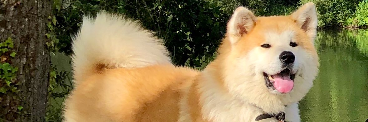 aldanaspecter's profile banner image
