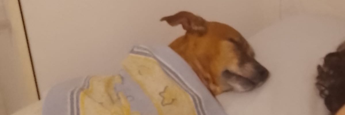 terrrinh's profile banner image