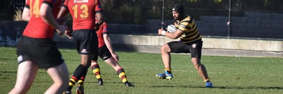 Balmain Rugby banner