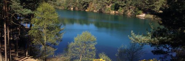 Emgee2010 Profile Banner