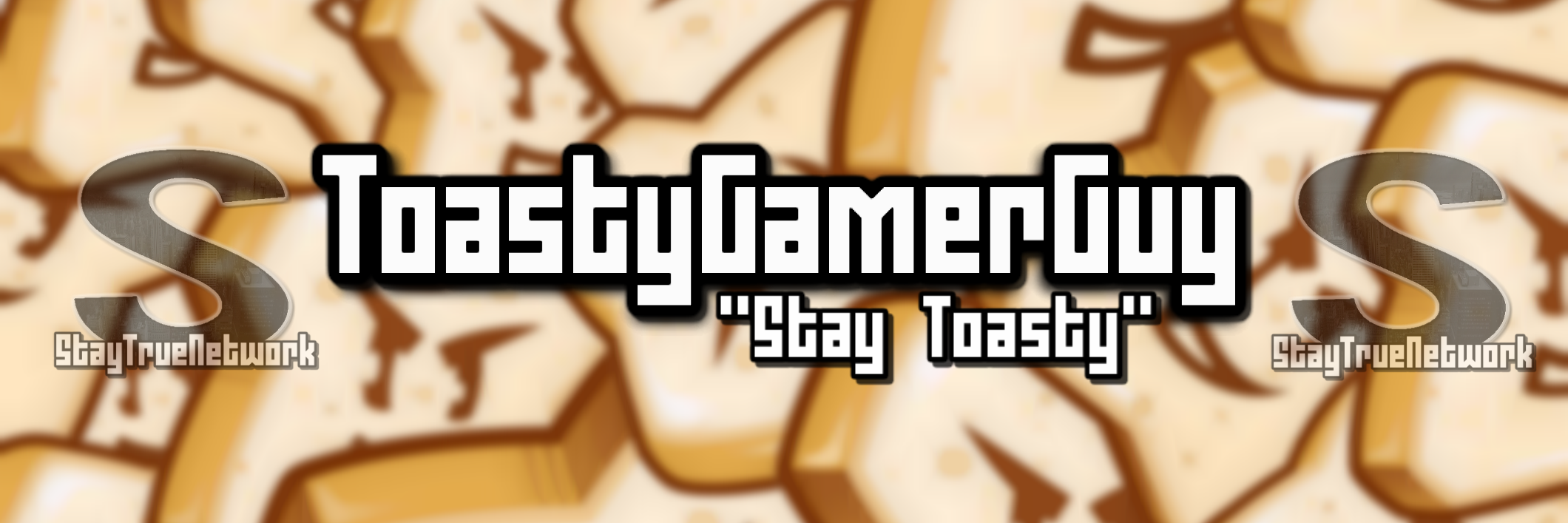 ToastyGamerGuy's profile banner image
