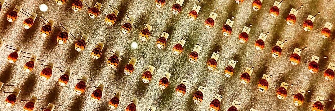 Patricia Biosca banner