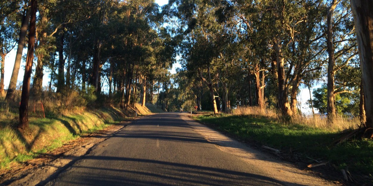 Danny O'Brien banner