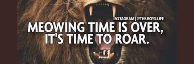 🇺🇸Lionhearted 🇮🇱 banner