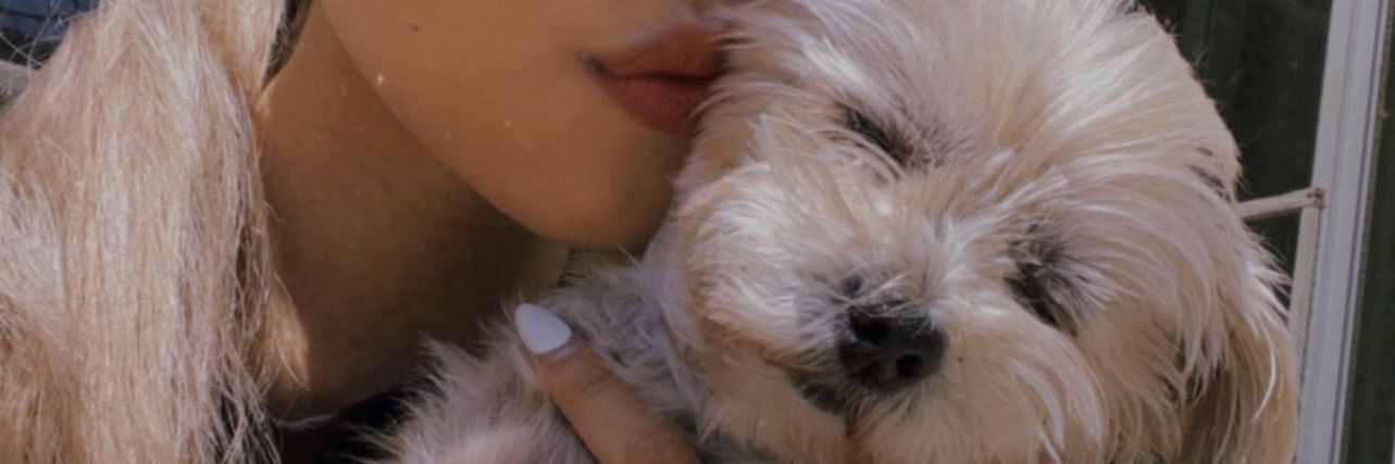 mpvien's profile banner image