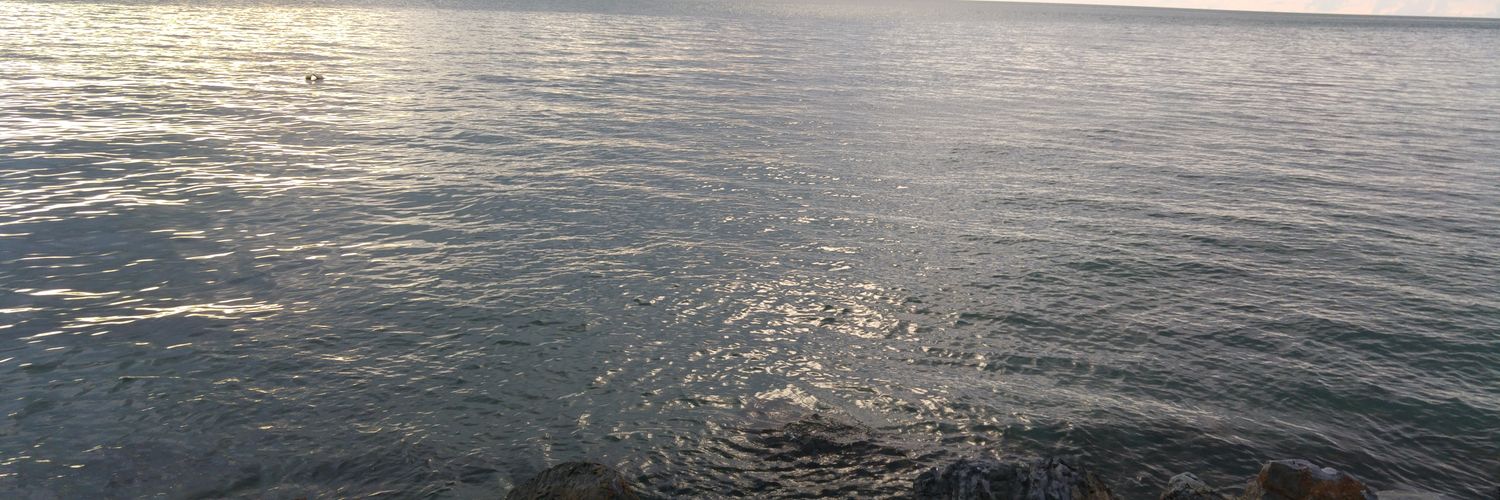 JtJtoro's profile banner image
