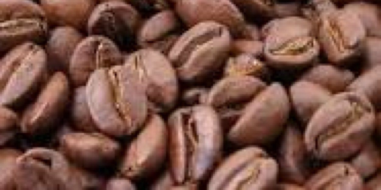 SBUXnewark's profile banner image