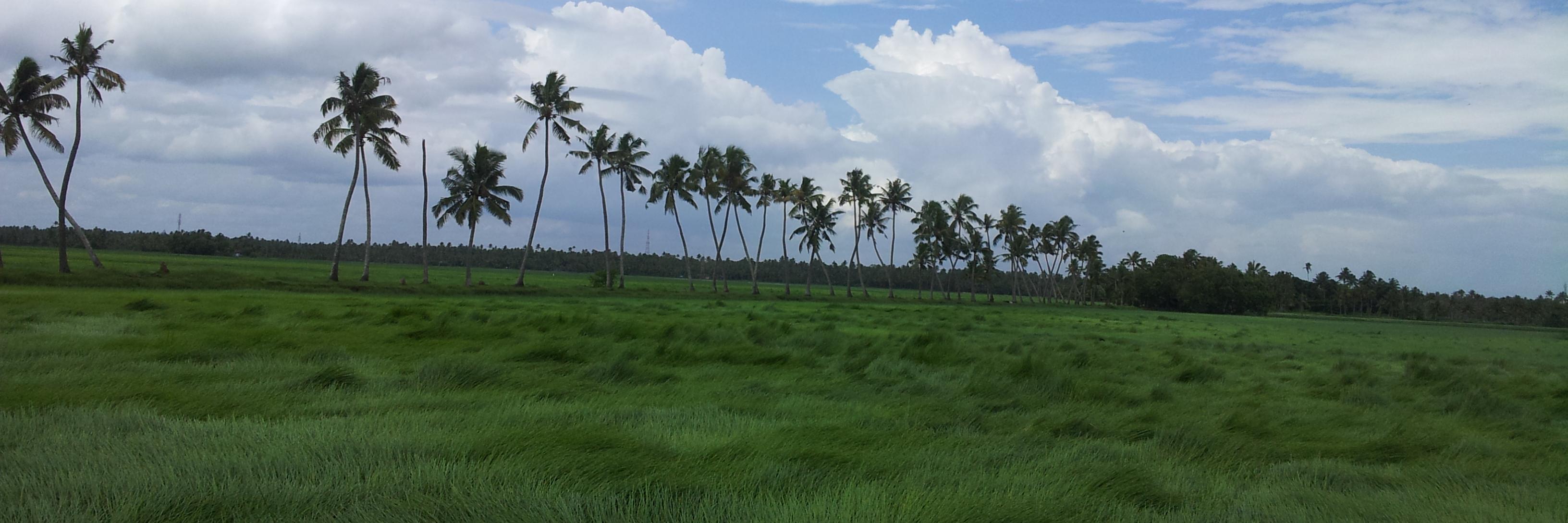 RahulJohnP's profile banner image
