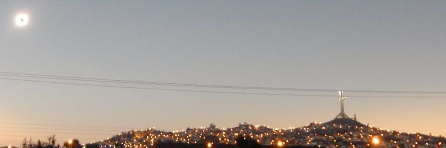 Davis 🌳 banner