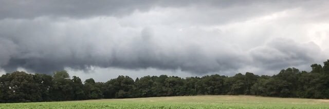 Nancy Kelly Costeira banner