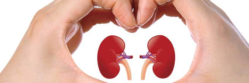 kidneytreated's profile banner image