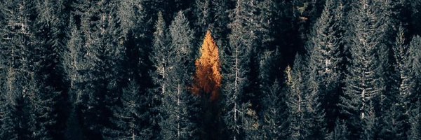 jeromekerio Profile Banner