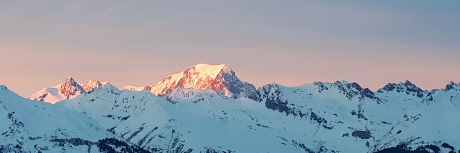 MidsummerJules's profile banner image