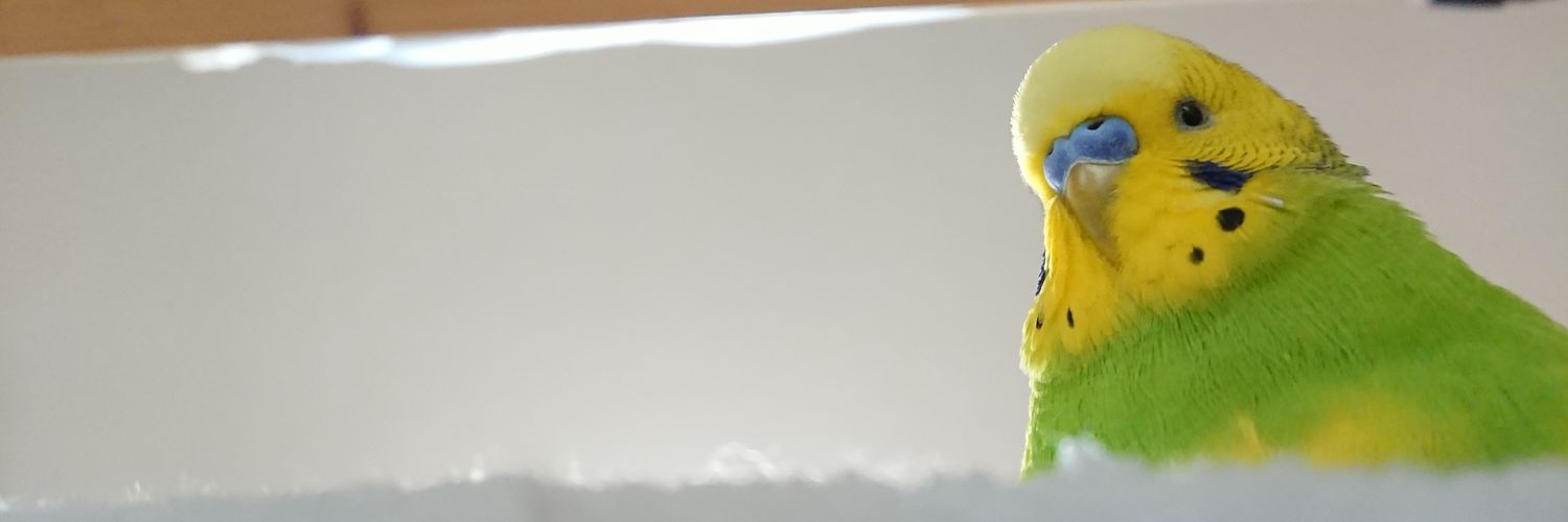 sig_log's profile banner image