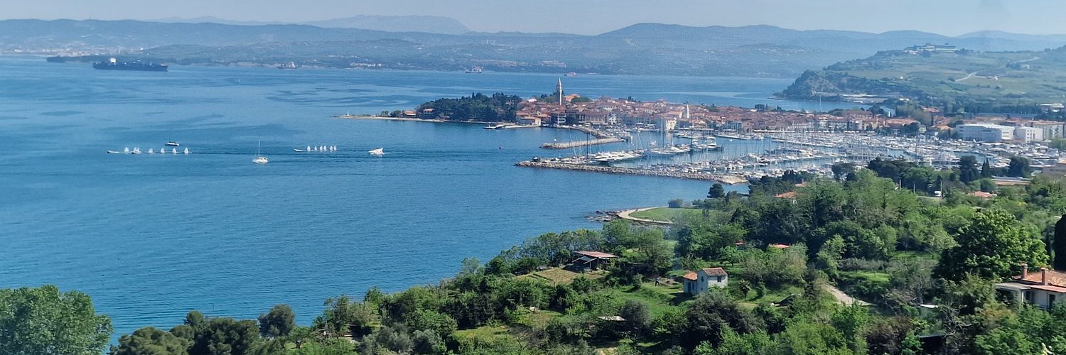 bayazitb's profile banner image