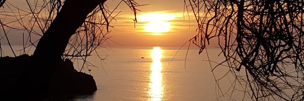 stefanoferrini Profile Banner