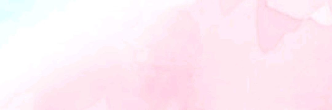 burcinnella's profile banner image
