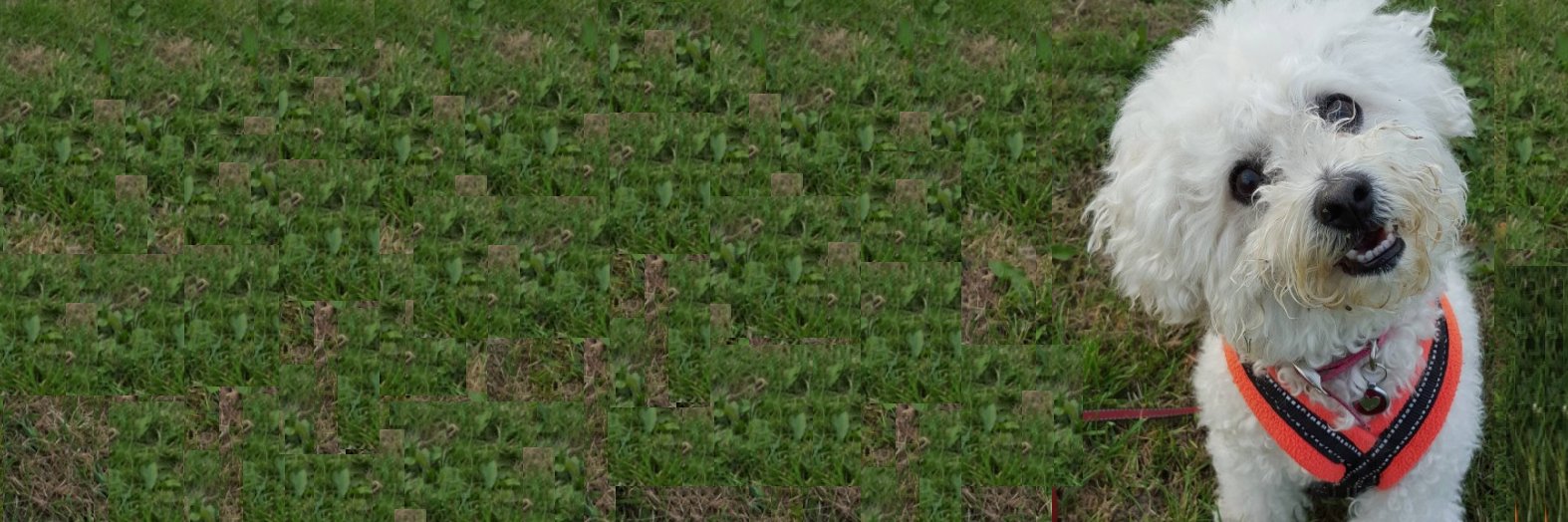 melxxxa's profile banner image