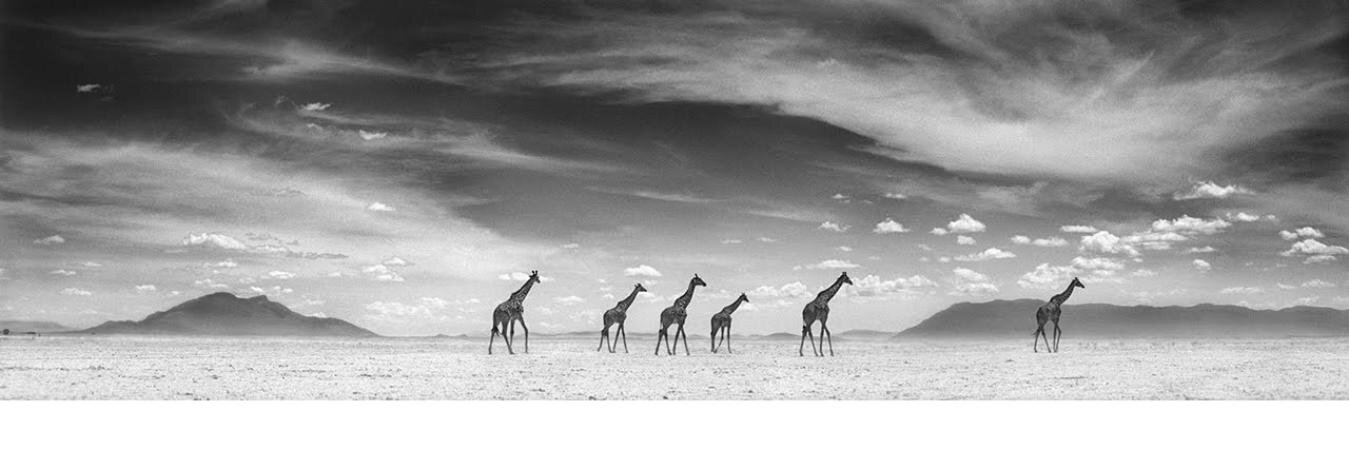 ۞ AleMoratza.txt ۞ banner