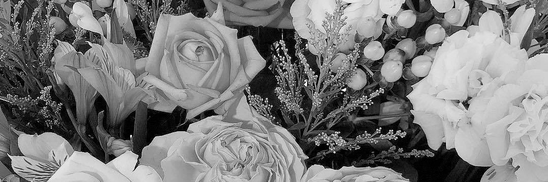 bereesol's profile banner image