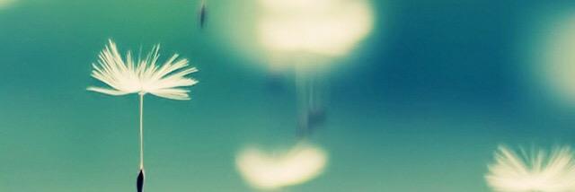 Maria Alejandra banner