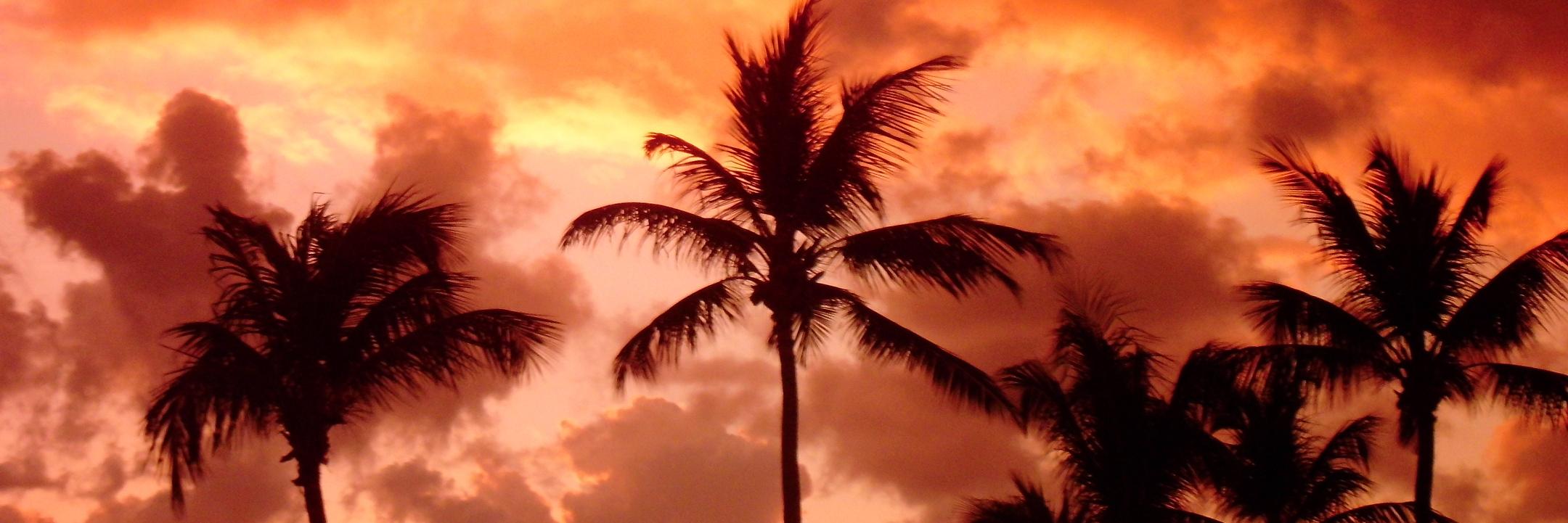 LucasReeh's profile banner image