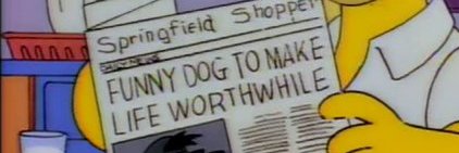 dgilman's profile banner image