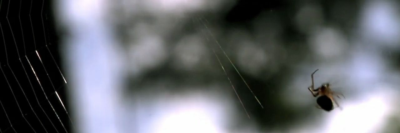 Vientosudaca's profile banner image