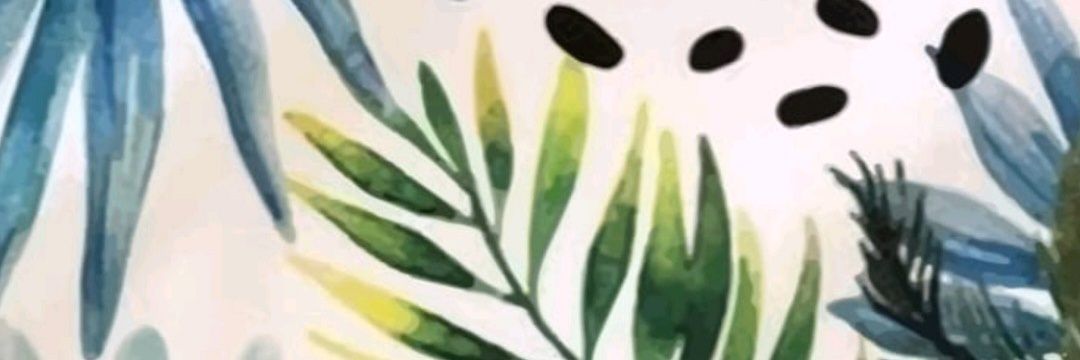 So__fi__a__'s profile banner image
