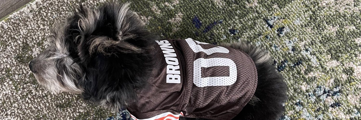 LadySilverFox60's profile banner image